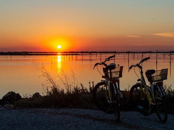 Albarella s.r.l - foto 33891.jpg