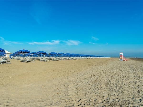 Albarella s.r.l - foto 33892.jpg