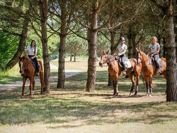 Albarella s.r.l - foto 33903.jpg