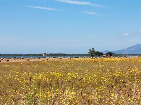 Residence Hotel I Briganti di Capalbio - foto 33971.jpg