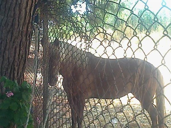 Camping Capo Trionto - foto 34071.jpg