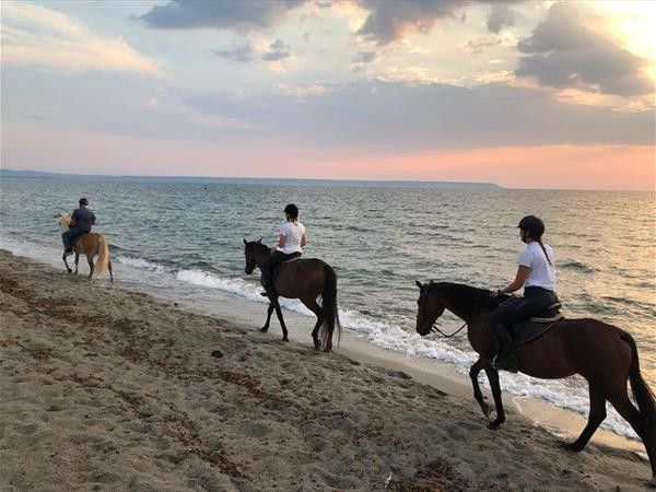 Horse Country Resort Congress & SPA - foto 34245.jpg