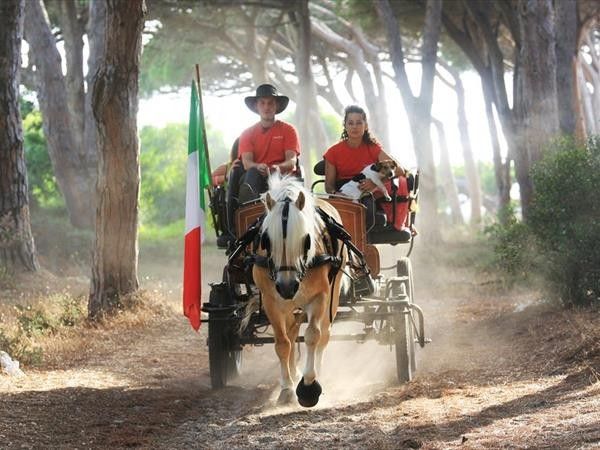 Horse Country Resort Congress & SPA - foto 34248.jpg