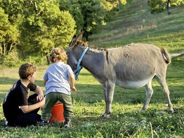 Agriturismo La Castellana - foto 34423.jpg