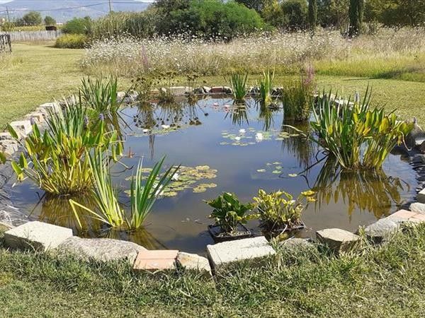 Incanto Toscano - foto 34616.jpg