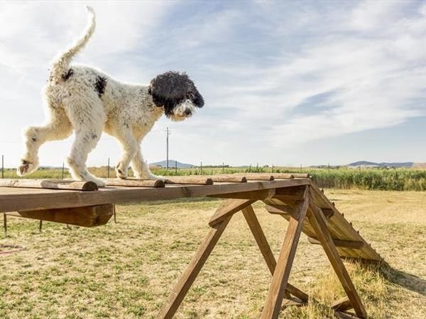 Gitavillage Club Degli Amici - foto 34729.jpg