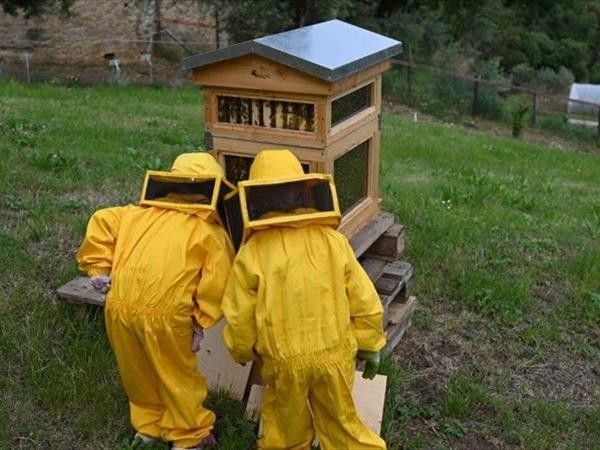 Fattoria di Maiano - foto 34911.jpg