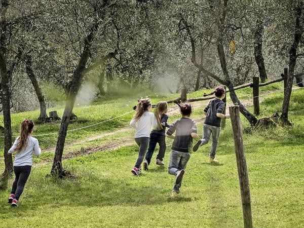 Fattoria di Maiano - foto 34915.jpg