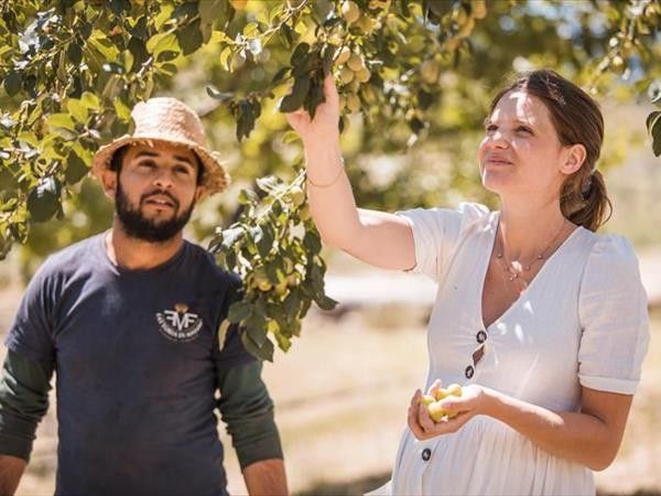 Fattoria di Maiano - foto 34918.jpg