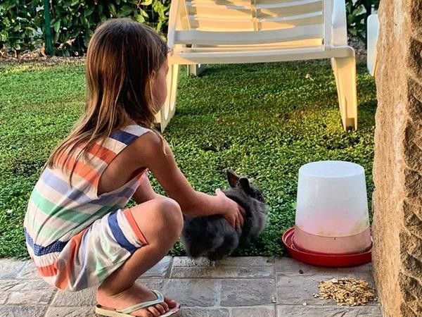 Fattoria Palazzeta  - foto 34963.jpg