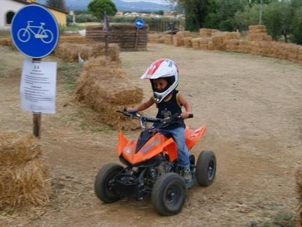 Fattoria Palazzeta  - foto 34969.jpg