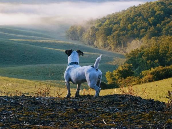 San Lorenzo Agriturismo - foto 35051.jpg