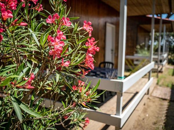 Camping Village Oasi - foto 35247.jpg