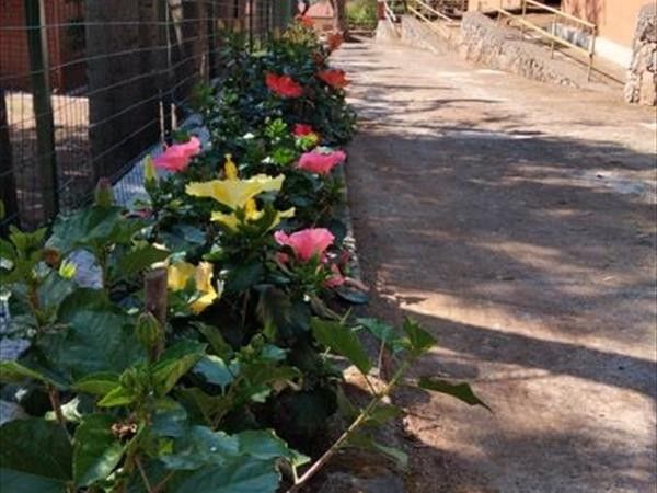 Villaggio da Pepè  - foto 35270.jpg