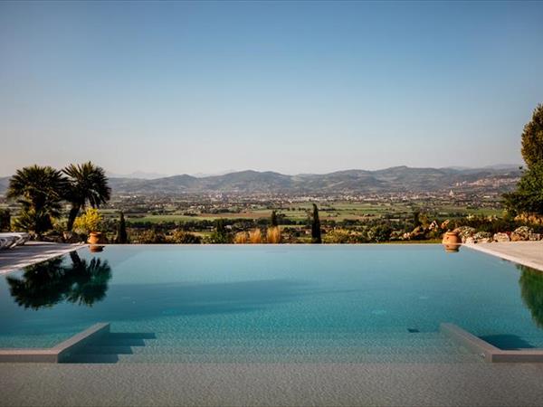 Il Poggio degli Olivi - foto 35425.jpg