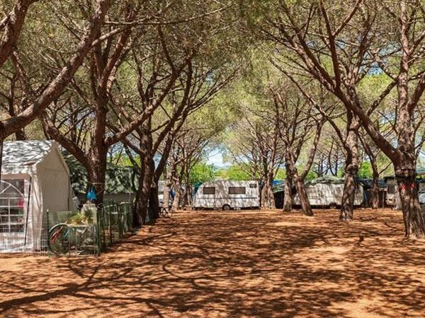 Gitavillage Club Degli Amici - foto 35453.jpg