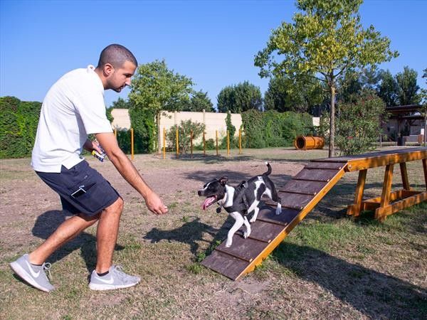 Camping Village Tahiti - foto 35483.jpg