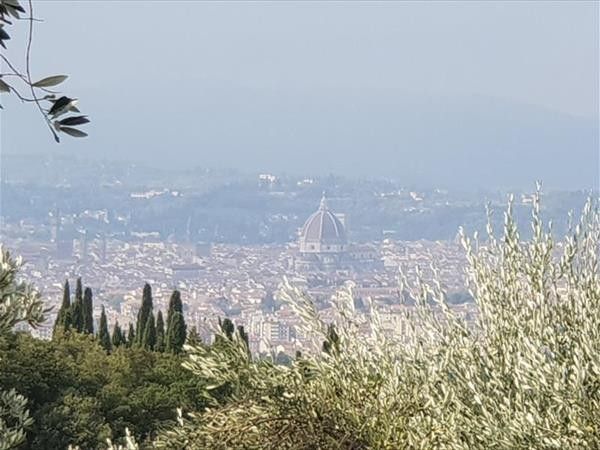 Fattoria di Maiano - foto 35500.jpg