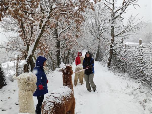 Agriturismo Lucatello  - foto 35635.jpg