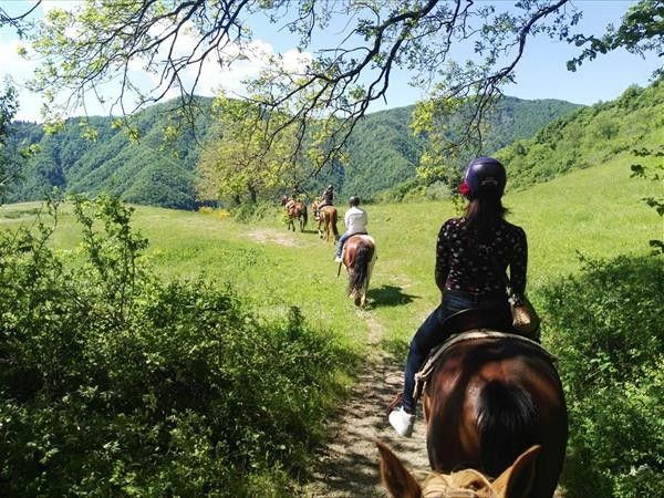 Locanda Le Isole - foto 35646.jpg