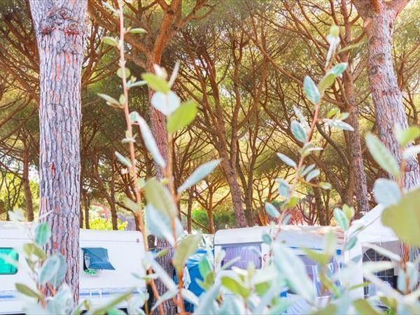 Gitavillage Argentario - foto 36118.jpg