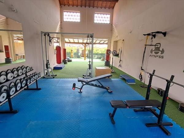 Fattoria Palazzeta  - foto 36154.jpg