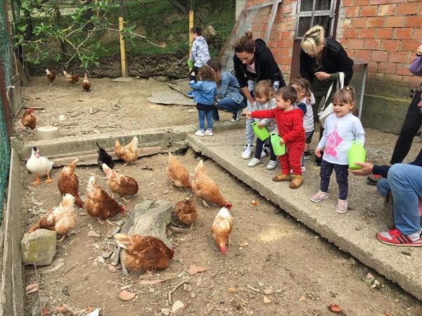 Azienda Agraria le Burgne - foto 36247.jpg