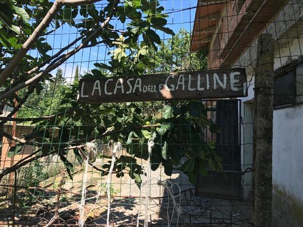 Azienda Agraria le Burgne - foto 36253.jpg