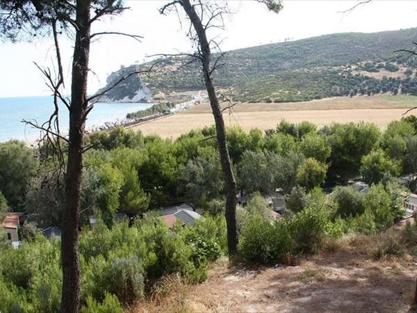 Villaggio Baia Calenella - foto 36286.jpg