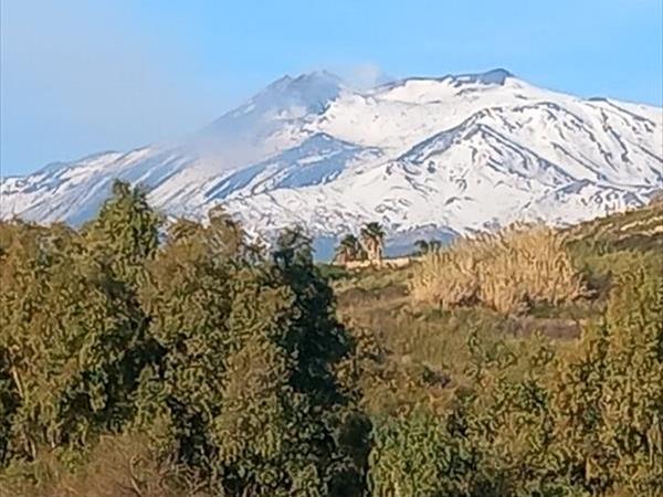 Minissale Farmhouse - foto 36368.jpg