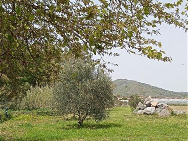 Minissale Farmhouse - foto 36370.jpg