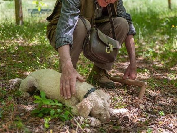 Agriturismo Le Dolci Colline - foto 36582.jpg