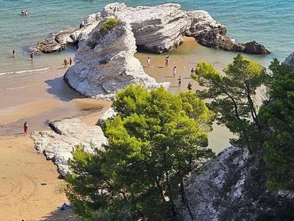 Appartamenti fronte mare - foto 36675.jpg