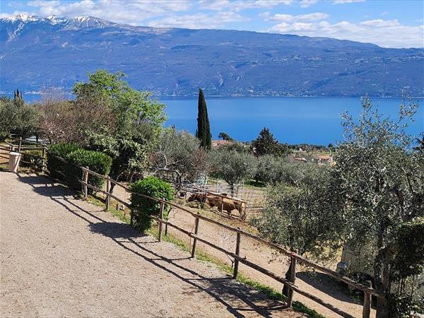 Agriturismo Scuderia Castello - foto 36695.jpg