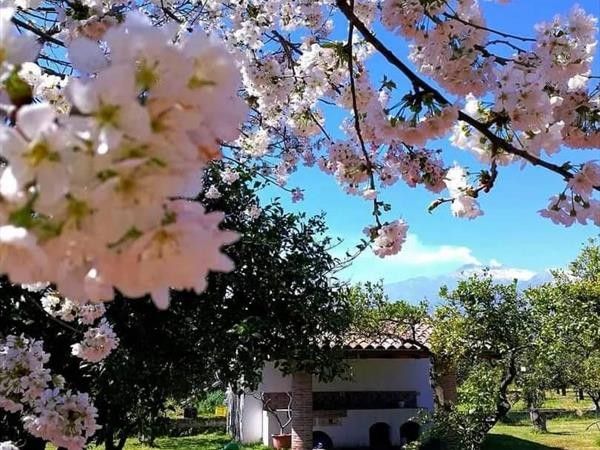 Agriturismo Galea - foto 36700.jpg