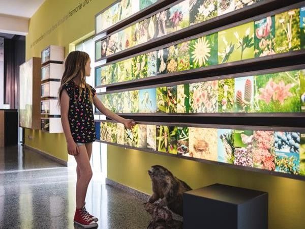 Hotel Windschar - foto 36869.jpg