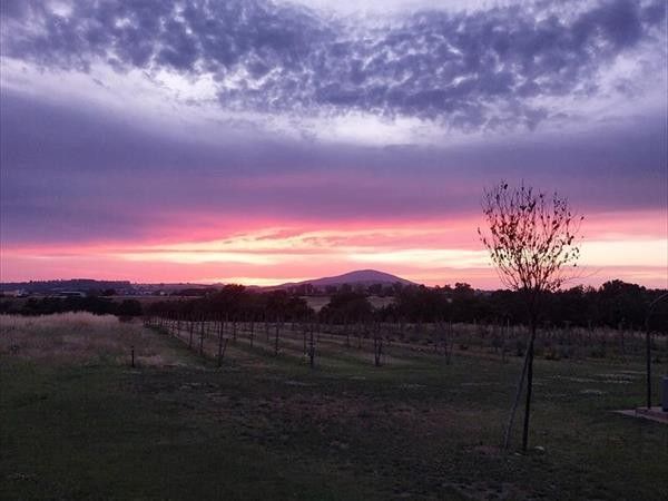 Agriturismo I Girasoli - foto 36906.jpg