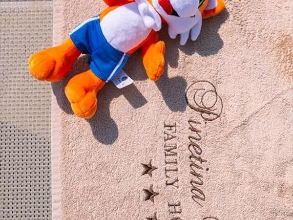 Pinetina Mare Baby Family Hotel - foto 36936.jpg