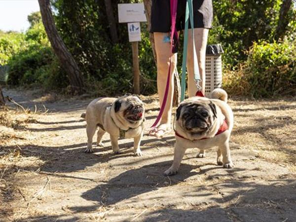 Gitavillage Club Degli Amici - foto 37123.jpg