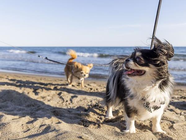 Gitavillage Club Degli Amici - foto 37126.jpg