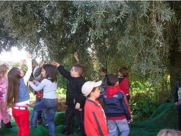 Agriturismo Case Damma - foto 11001.jpg