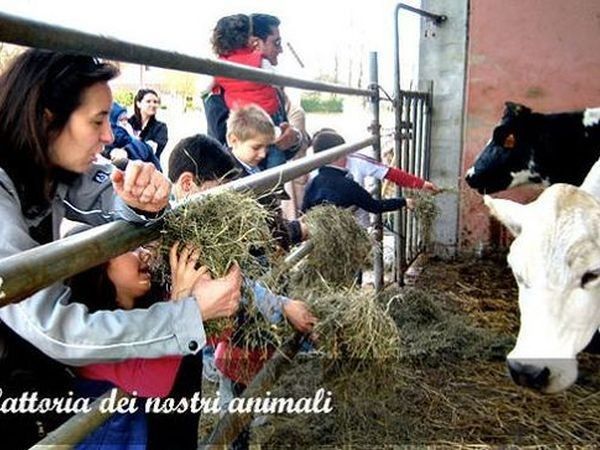 Agriturismo La Baccelliera - foto 12614.jpg