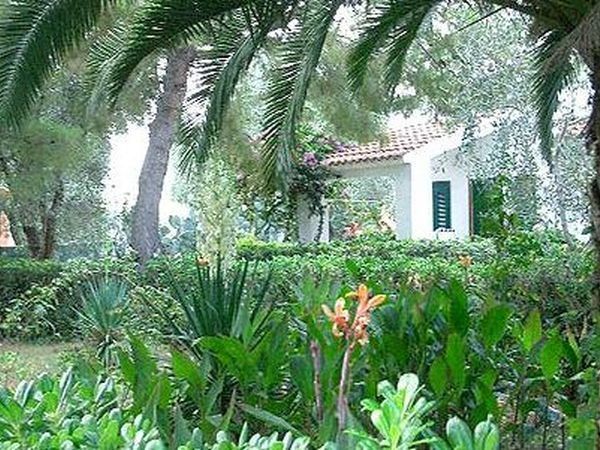 Villaggio Turistico Residence Delfino - foto 12751.jpg