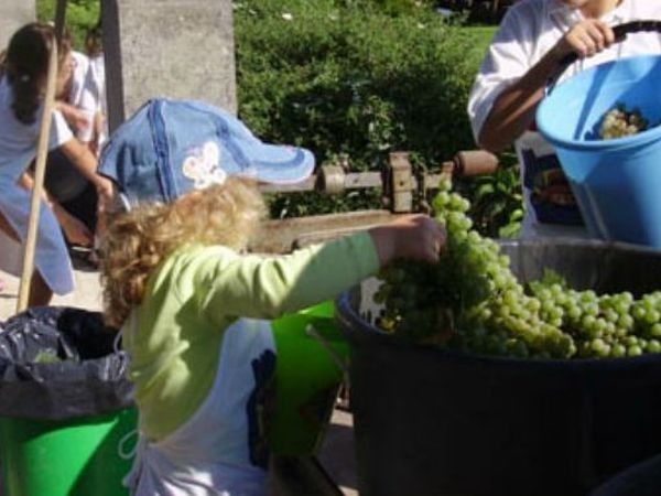 La fattoria di Valentino - foto 14280.jpg