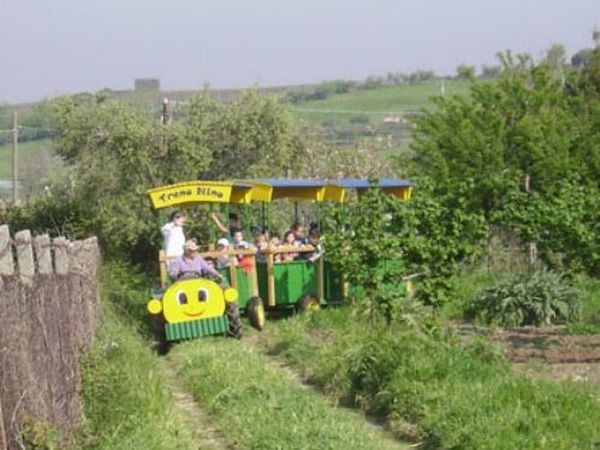 La fattoria di Valentino - foto 14281.jpg