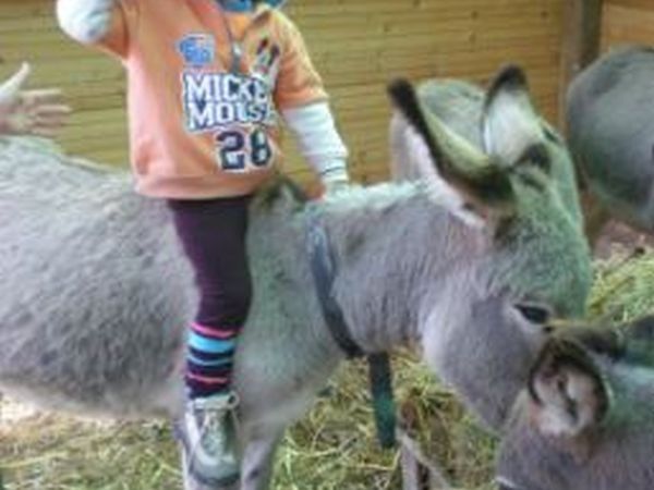 Agriturismo ´´Il Colle delle Querce´´ - foto 14677.jpg