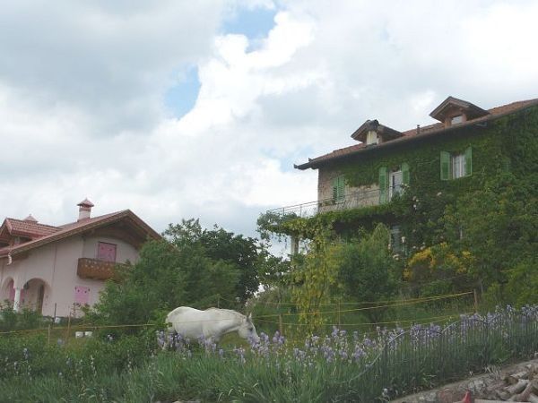 Agriturismo Casamiramonti  - foto 781.jpg