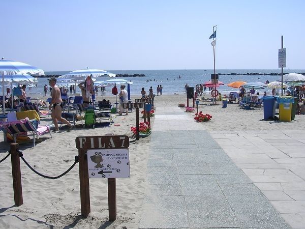 Campeggio Ancora - foto 4822.jpg