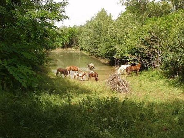 Agriturismo Piccola Raieda - foto 7917.jpg