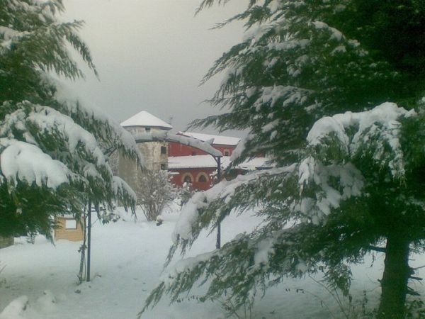 Agriturismo Case Mori - foto 8440.jpg